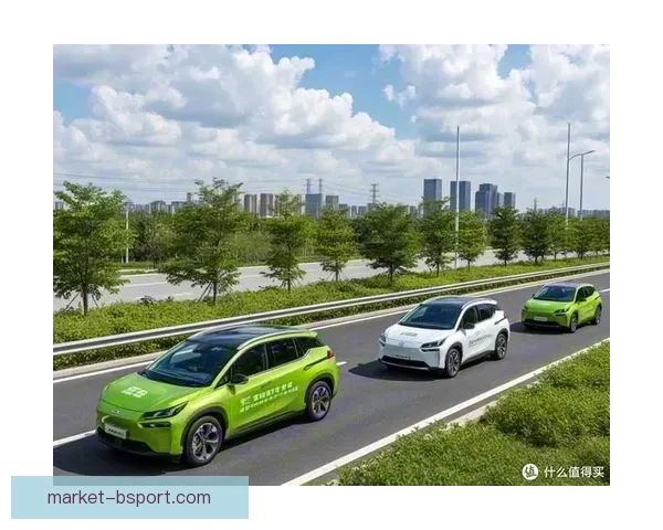 2026世界杯携手全球环保组织倡导绿色出行助力可持续发展